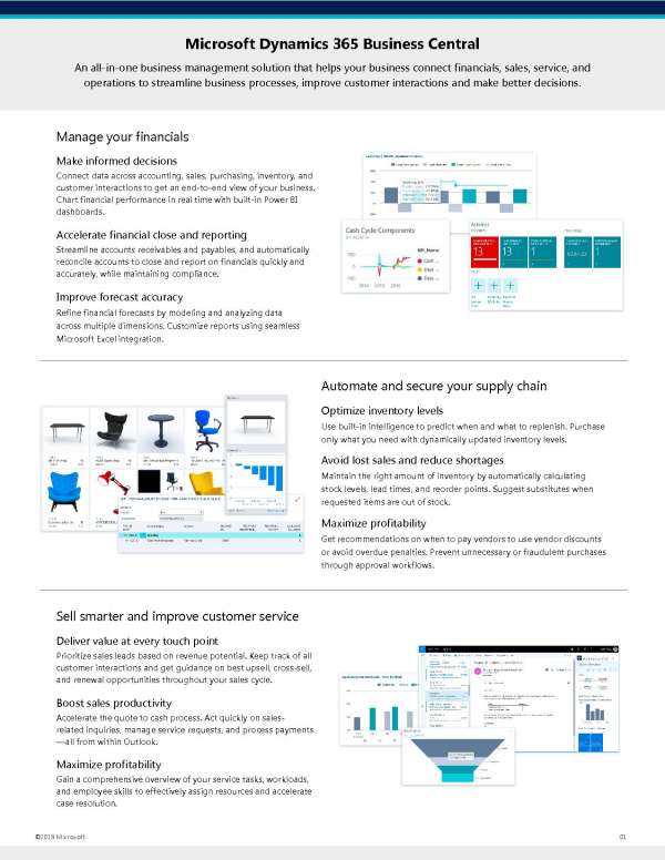 Business central capabilities