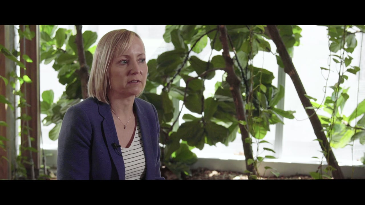 DHHS: Department of digital transformation