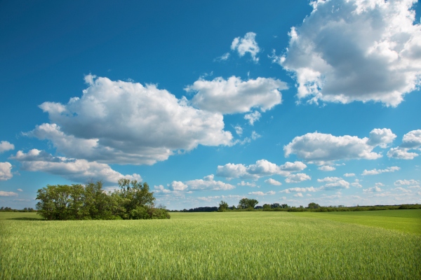 Microsoft Azure Expands its Hybrid and Multi-Cloud Reach