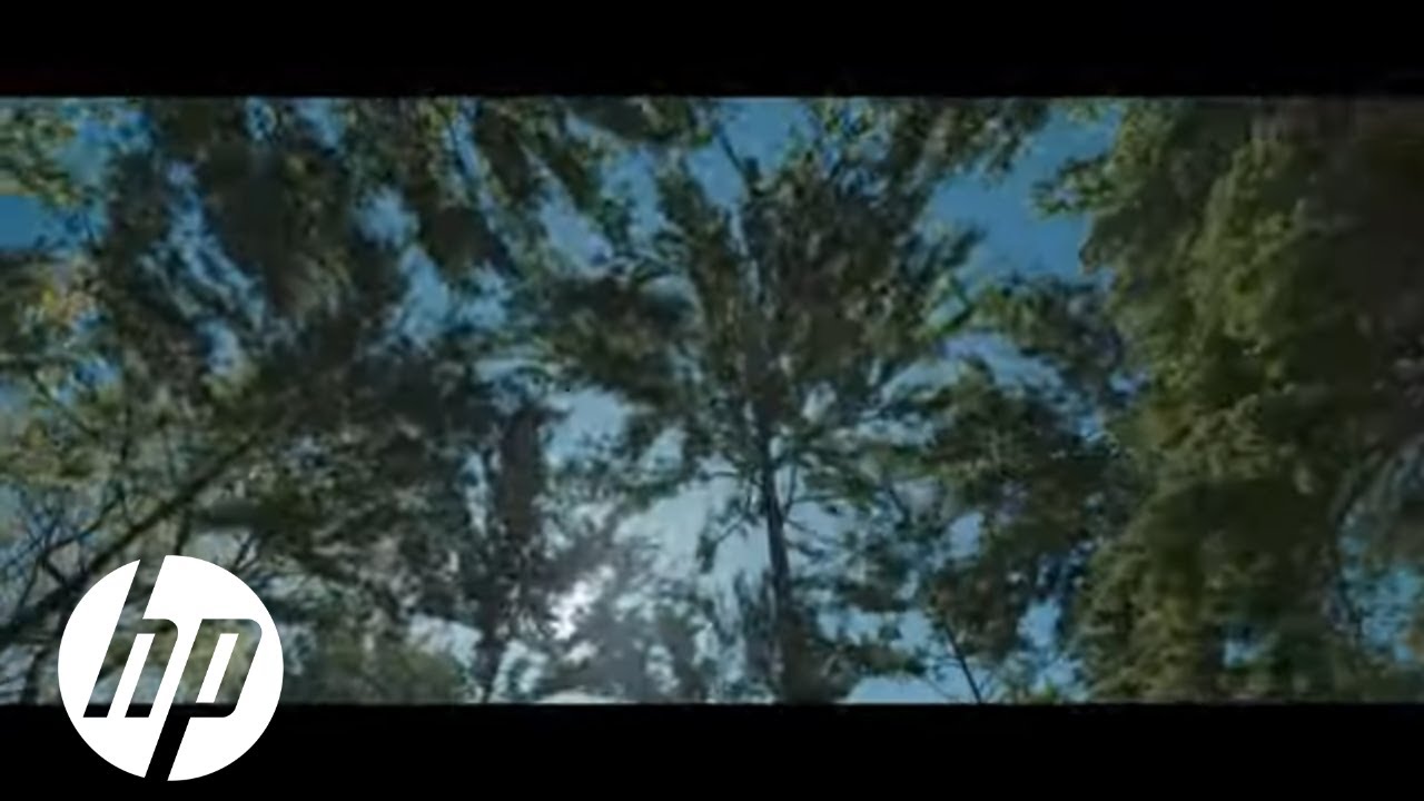 Printing Trees